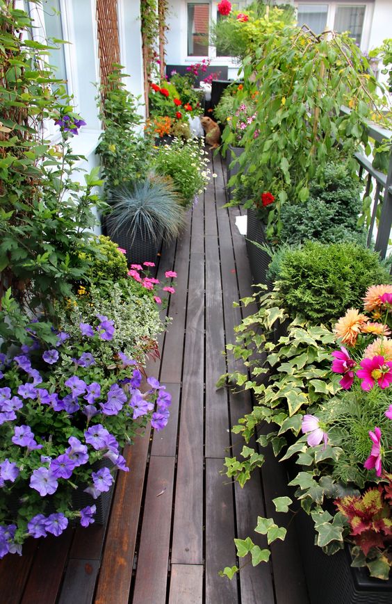 Blooming Beauty: How to Create a Stunning Balcony Garden