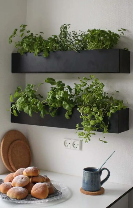 Green Magic in Your Apartment: Growing Herbs with Ease