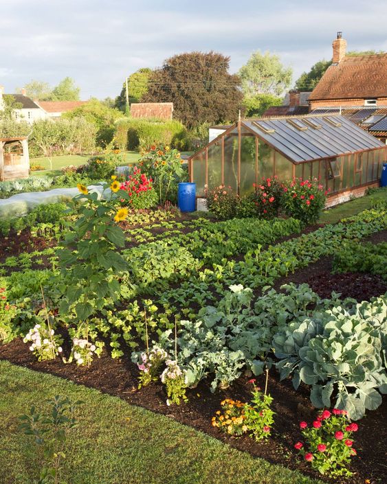 A Universal Guide to Starting Your Own Garden