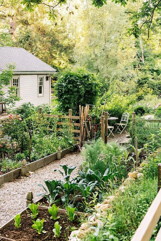 The 10 Most Important Steps to Create an Eco-Friendly Garden