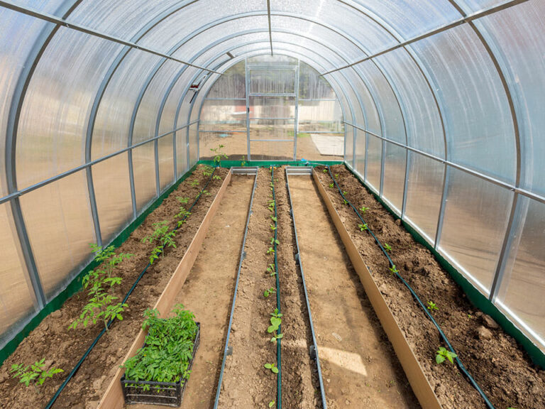 greenhouse drip irrigation system