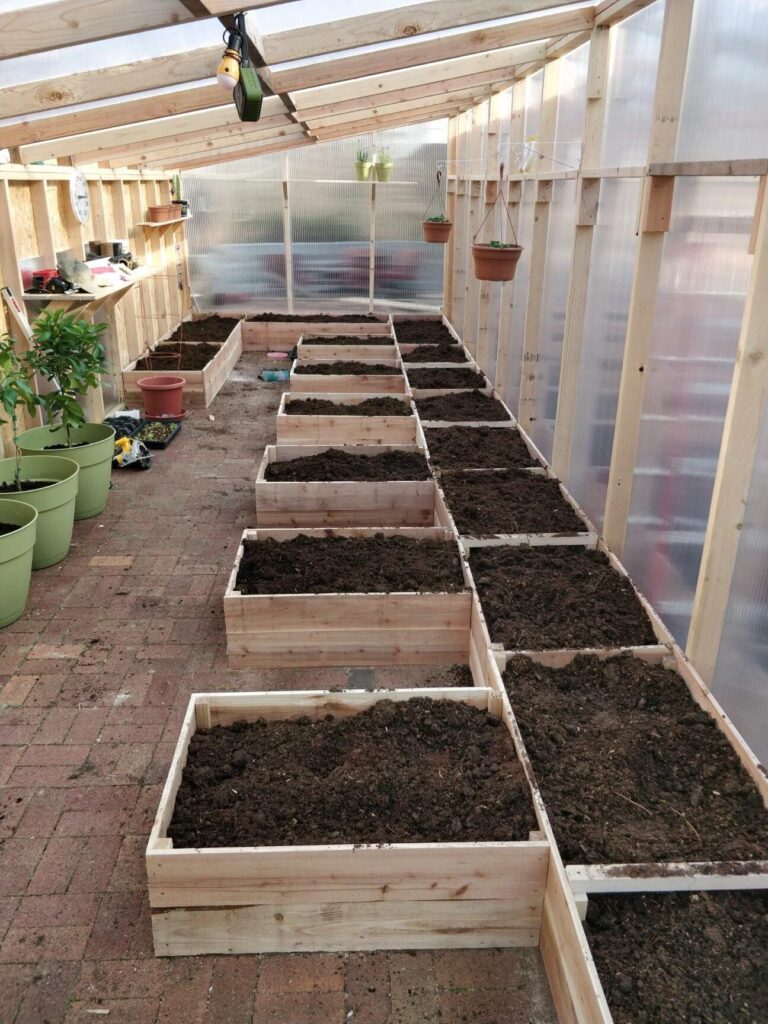 greenhouse raised garden beds