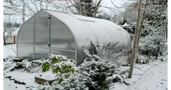 winter greenhouse model