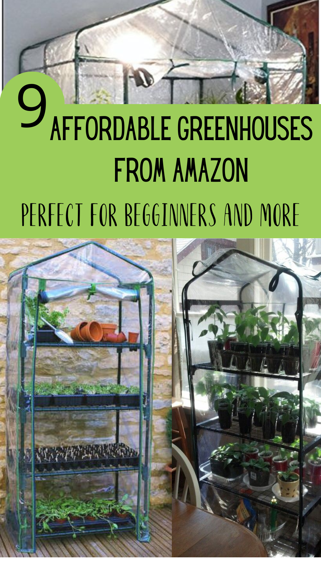 Affordable Greenhouses for Beginner Gardeners