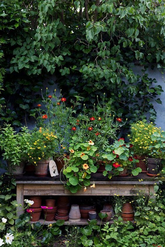 How to Incorporate Herbs and Flowers Into Your Garden