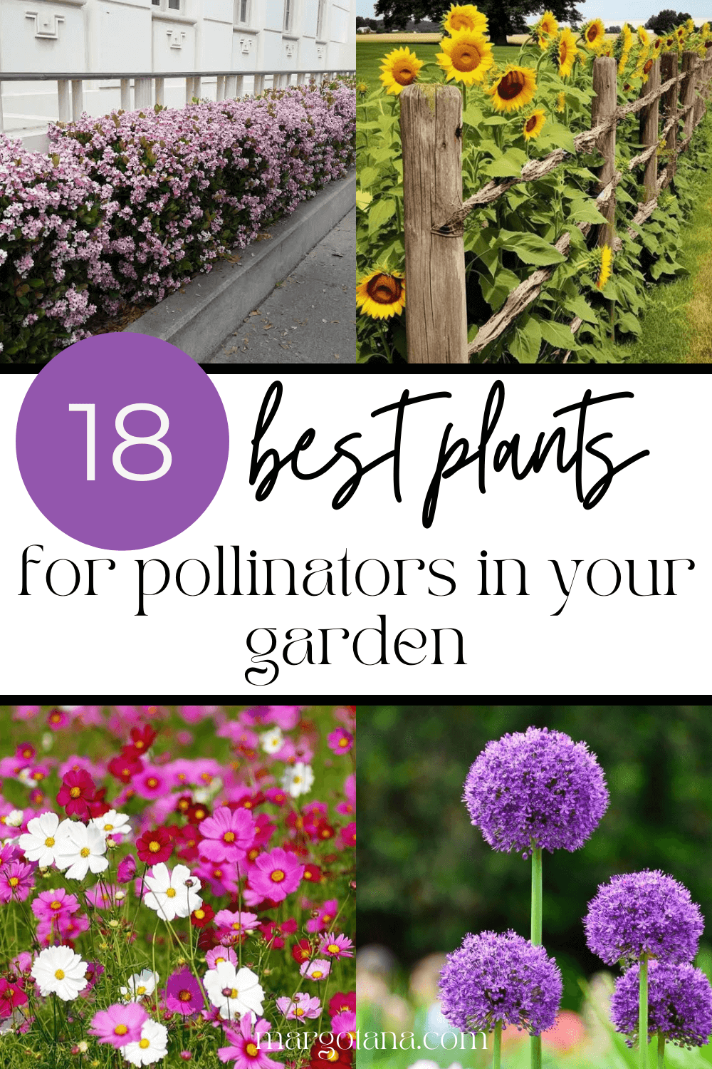 18 BEST PLANTS FOR POLLINATORS IN YOUR GARDEN