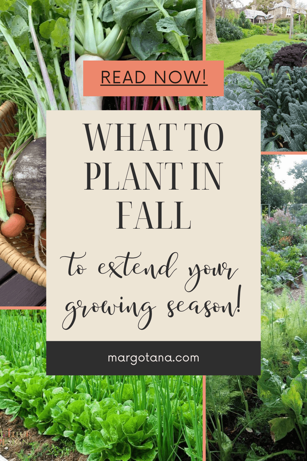 19 Crops To Plant For A Longer Growing Season