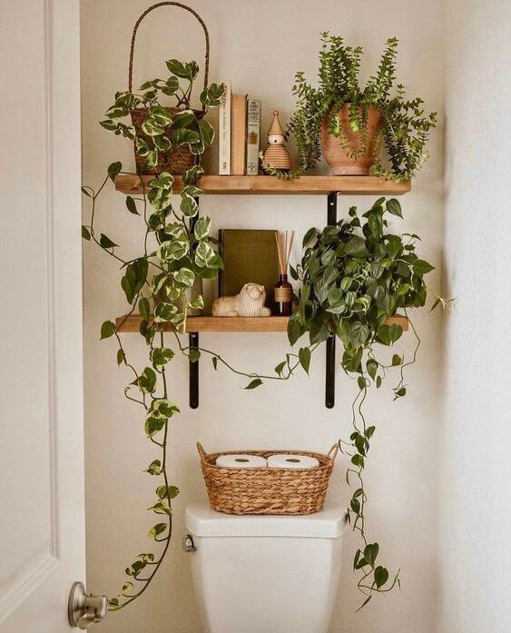 over the toilet decor with plants